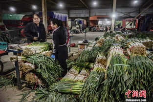 凌晨的勞動(dòng)者 城市蘇醒前的水產(chǎn)零售圖景